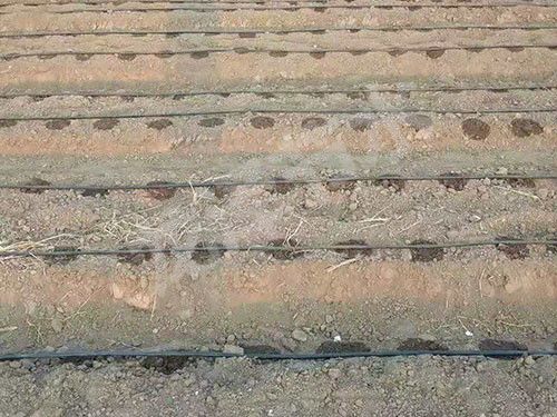 貼片式滴灌帶（dài）