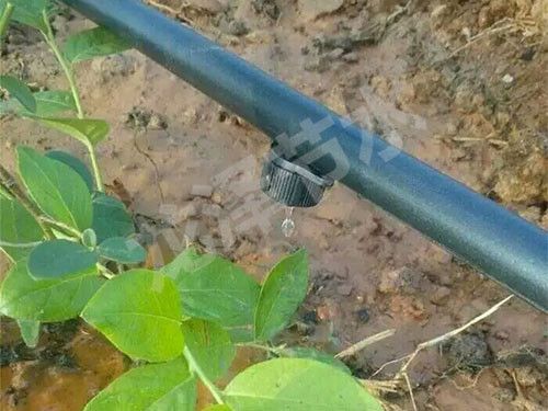 壓（yā）力補償滴頭